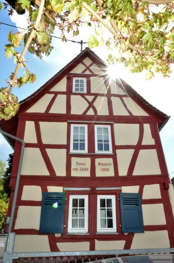 Apartmenthaus Am Zimmerplatz 호프하임암타우누스 외부 사진