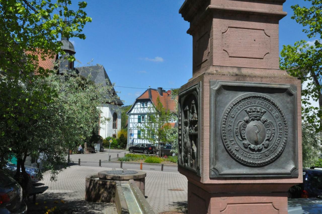 Apartmenthaus Am Zimmerplatz 호프하임암타우누스 외부 사진